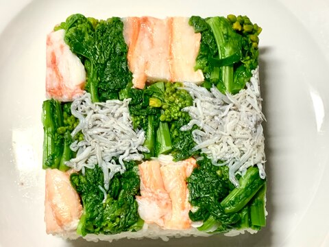 お正月にも、菜の花と蟹肉としらすの押し寿司